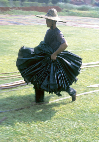 「ヨーガン レールとババグーリを探しにいく」刊行記念 ヨーガン レールの写真展